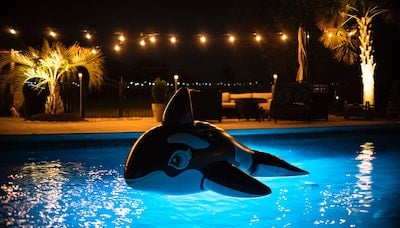 Docker + bash : Cette astuce peut vous faire gagner du temps ! ⏰